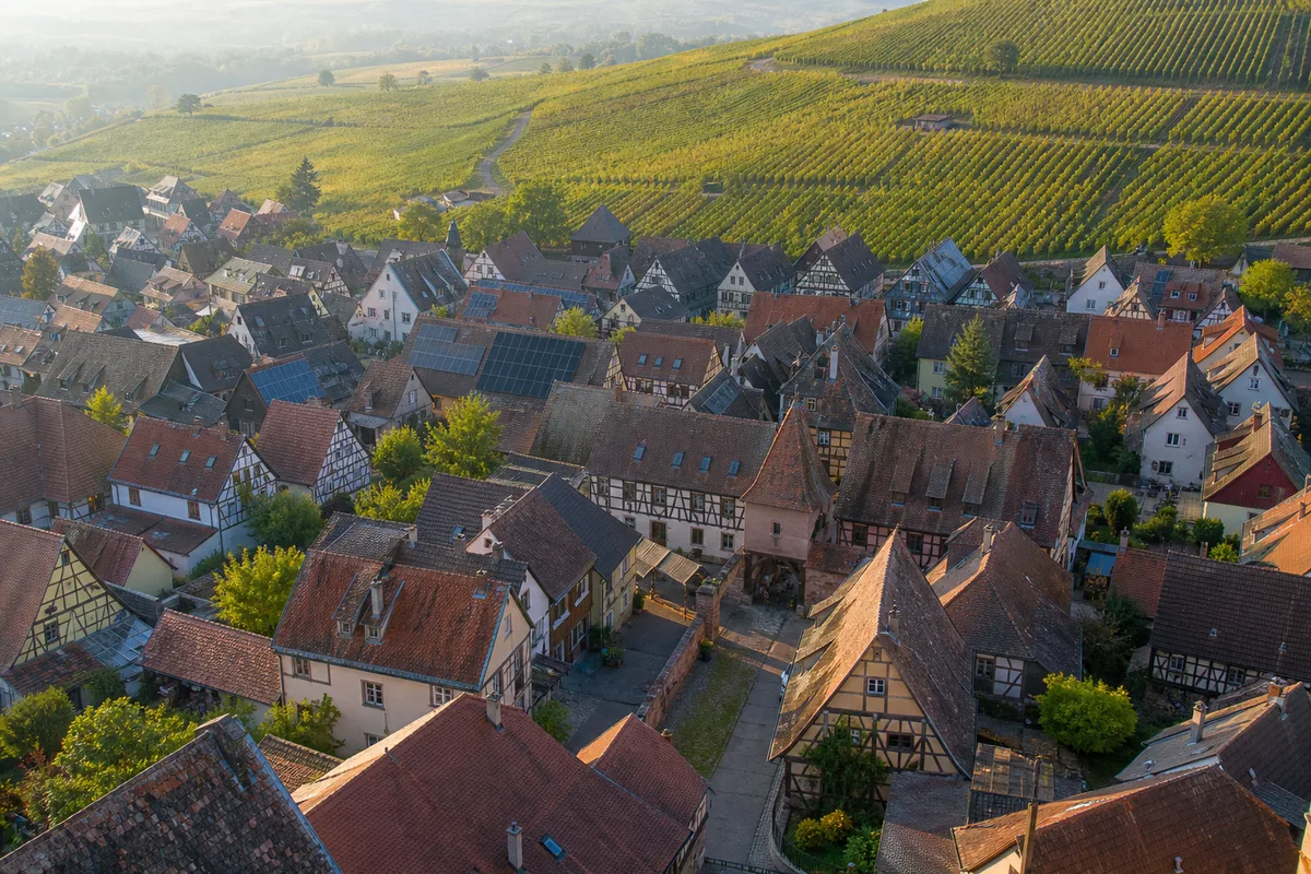 Vue de la plaine d&rsquo;Alsace et du piémont viticole du Bas-Rhin, villages aux toitures de tuiles et vignes en pente, lumière de fin de journée